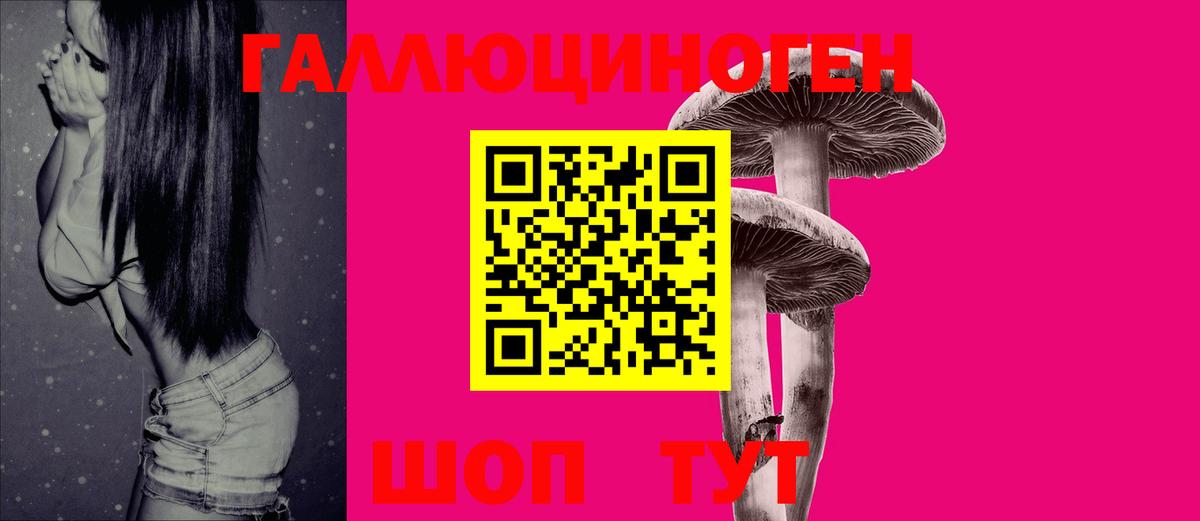 Псилоцибиновые грибы Psilocybine cubensis  Вход с VPN  Верхняя Салда 